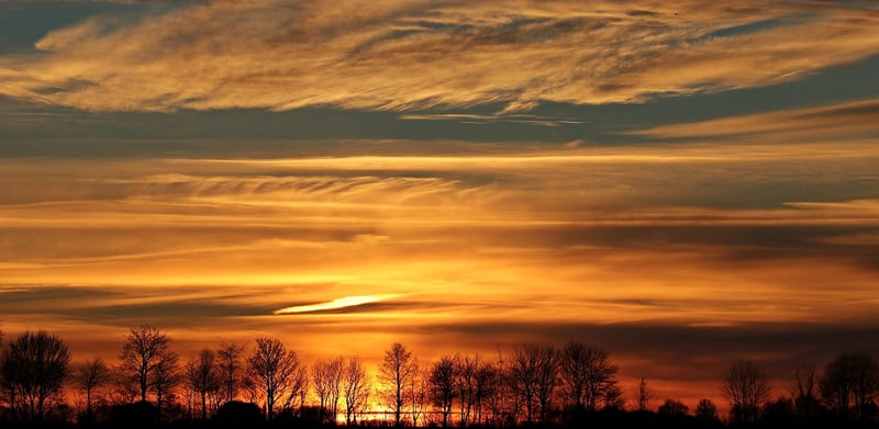 Evening Gratitude