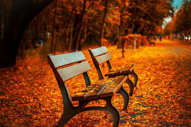 Outdoor Meditation